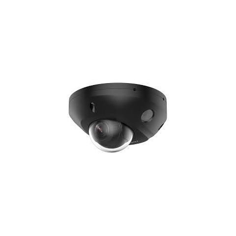 DS-2CD2543G2-LIS2U(2.8mm)(BLACK)