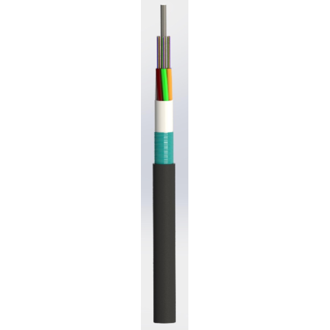 DS-QFV-CKS4L